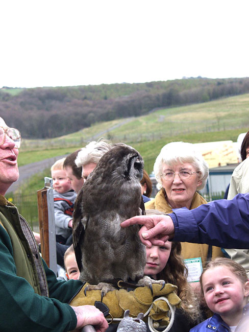 Gflwr_Meet_Mr_Owl_01