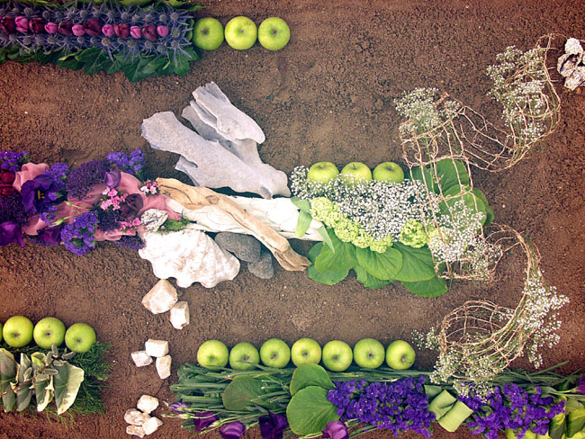 Gflwr_Mpct_Fruit_Flat_Above