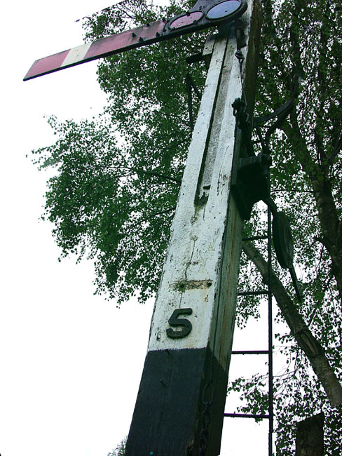 Tanr_Andyhouse_Sig5_02